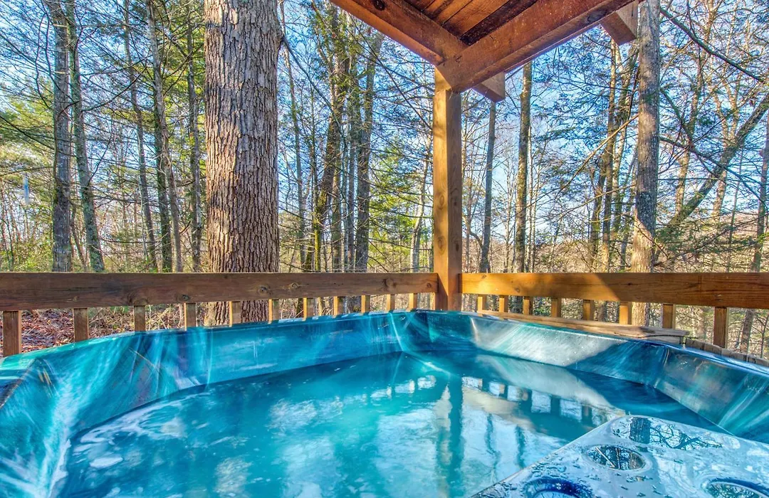 Bear Cave Haus-1