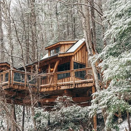 The Dogwood In Treehouse Grove At Norton Creek-3