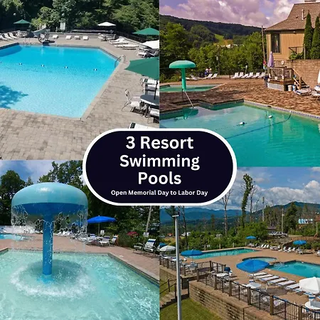 Big Bear Shack - Handicap Accessible & Dog Friendly-3